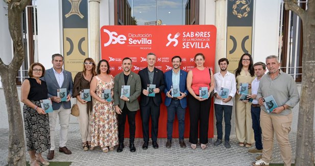 Diputación de Sevilla
