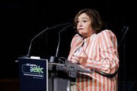 Las eléctricas piden no intervenir el mercado e instan a una reforma fiscal que acelere la electrificación