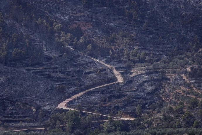 Terreno quemado por el incendio forestal, a 16 de septiembre de 2026, en Tuéjar