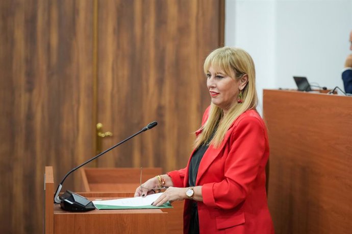 La vicepresidenta tercera y consejera de Economía, Hacienda y Fondos Europeos, Carolina España (c), durante su intervención en el pleno. 