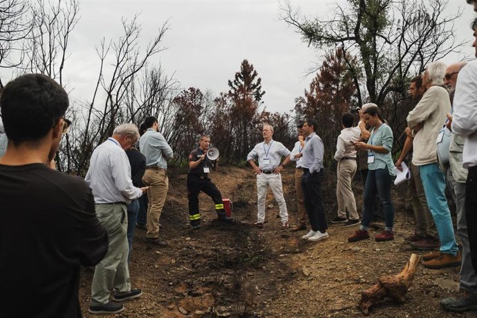 Como parte del programa los participantes visitaron la zona afectada por el incendio forestal de este julio en Les Gavarres
