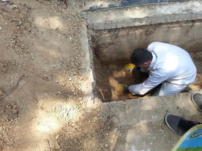 Archivo - Exhumaciones en Huelva para buscar bebés robados, en una imagen de archivo.