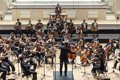 Telefónica y la Escuela Reina Sofía unen IA y música sinfónica para dar voz a las emociones del público