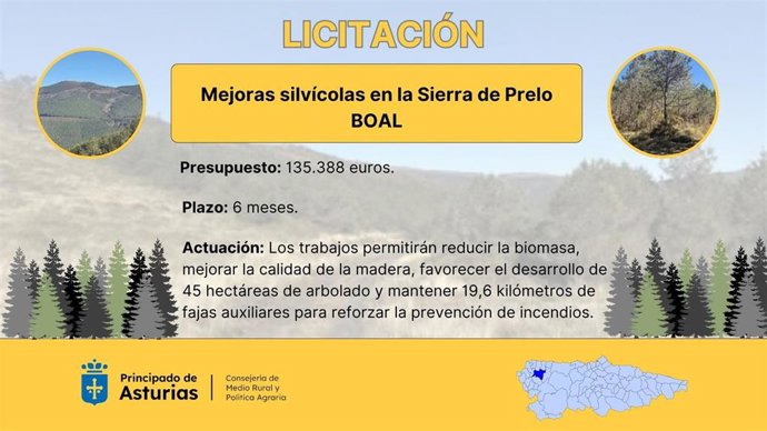 Licitación