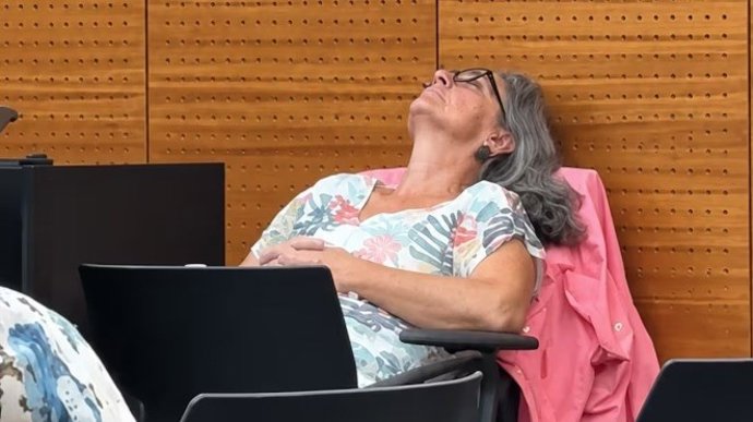 Fotografía difundida este viernes por el PSPV de Sant Vicent del Raspeig, que ha pedido reprobar a una edil de Vox, que aparece en la imagen, por estar "recostada" en un pleno, tras un vídeo aparecido "en medios de comunicación y redes sociales"