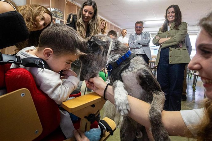 El colegio público de educación especial Alborada recibe 7.063 euros de la IV Andada Canina Familiar Kalibo 5K