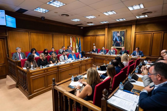 Pleno de la Diputación de Almería.