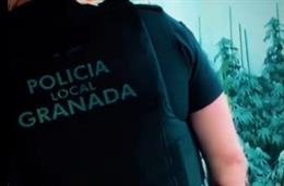 La Policía Local de Granada ha detenido este viernes por la mañana a dos varones sexagenarios y ha desmantelado una plantación 'indoor' con un total de 110 plantas de marihuana en el distrito Norte de la ciudad.