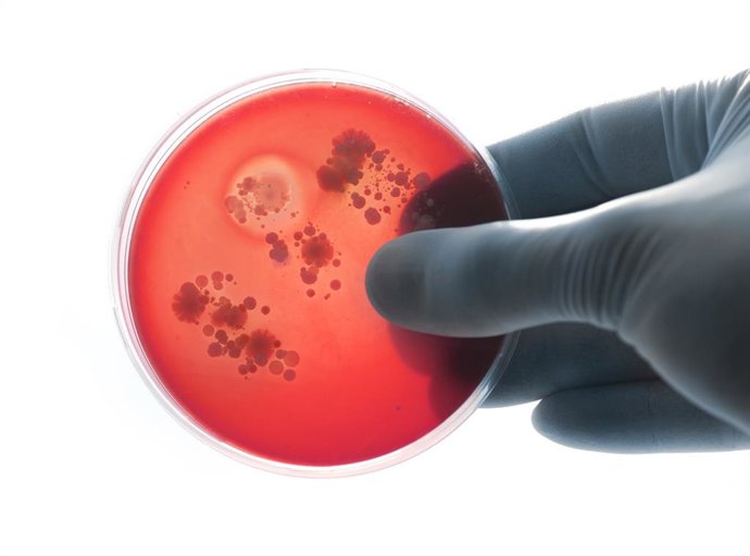 Archivo - La SEN subraya la tendencia ascendente de casos de meningitis desde 2014