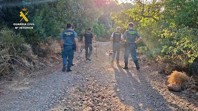 Zona donde ha trabajado el Seprona para investigar a un vecino de Palma del Río (Córdoba) como presunto autor de un delito contra la fauna, por el supuesto abatimiento de un ejemplar de halcón abejero.