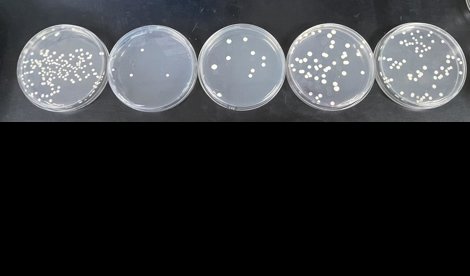 Investigación