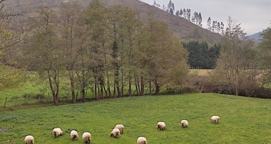 Navarra