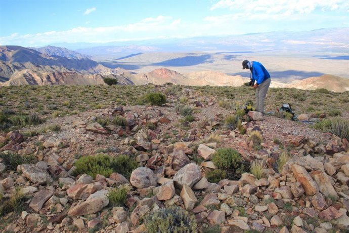 Investigadores de la UJA se desplazarán a los Andes para investigar un potencial geoglifo ceremonial incaico.