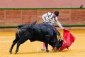 El novillero extremeño Jorge Hurtado se hace con el 51 'Zapato de Oro' de Arnedo