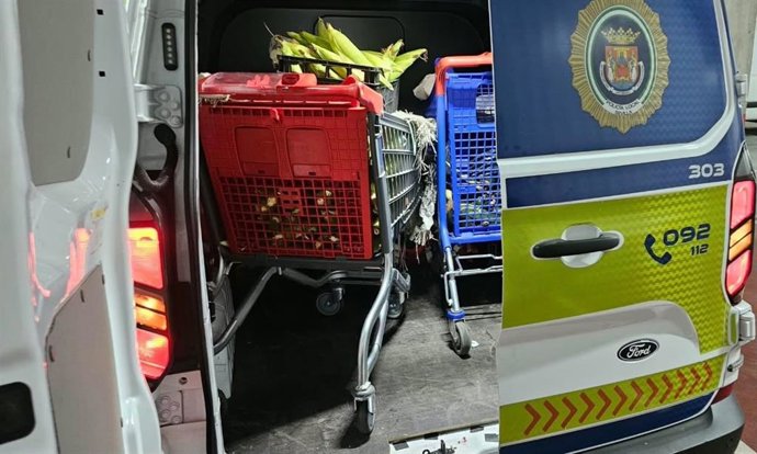 Alimentos intervenidos en la vía pública por la Policía Local de Sevilla.