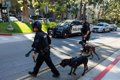 Al menos dos muertos y decenas de detenidos tras un tiroteo en un centro comercial de Los Ángeles (EEUU)