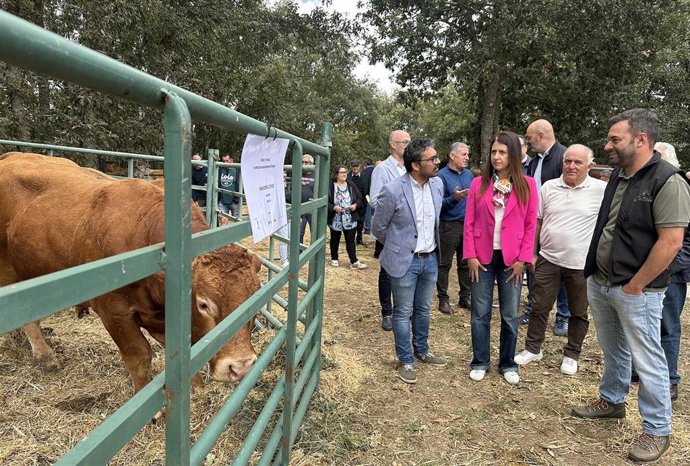 La conselleira de Medio Rural, María José Gómez