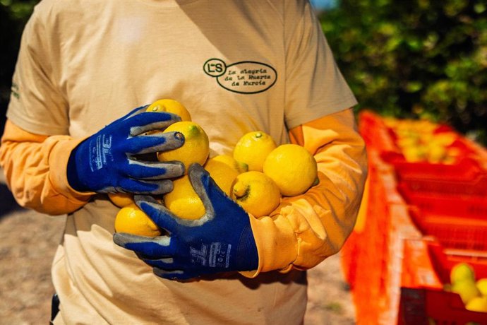 Archivo - La Cooperativa Agroalimentaria Limonar De Santomera Ha Presentado  La Docuserie '24 Horas De Le Mons'