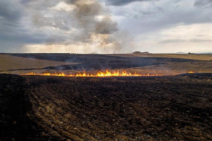 Incendio forestal en Extremadura.