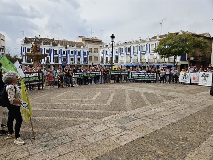 Pacma exige en Valdepeñas actuaciones urgentes contra el vecino "matagatos"