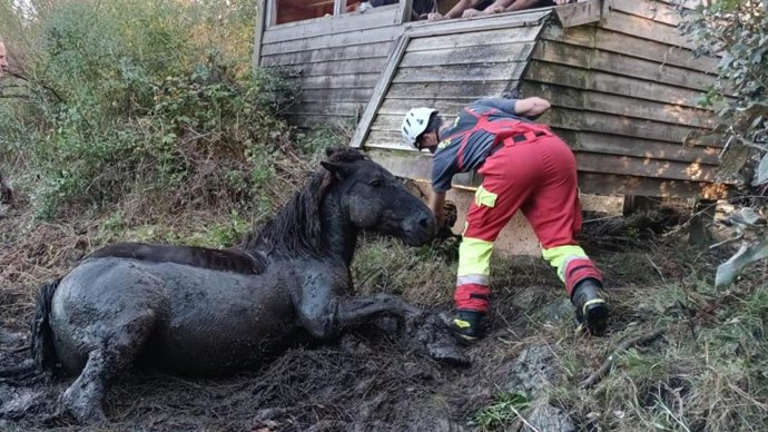 Imagen del rescate