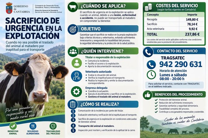 Cartel