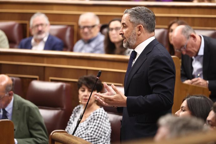 El presidente de Vox, Santiago Abascal, interviene durante una sesión plenaria en el Congreso.