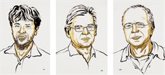 Foto: Nobel de Medicina 2026 para Karl Deisseroth, Peter Hegemann y Georg Nagel, padres de la optogenética