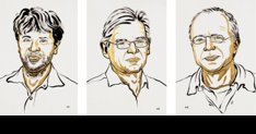 Investigación