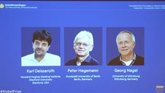 Vídeo: Karl Deisseroth, Peter Hegemann y Georg Nagel, Nobel de Medicina 2026