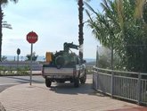 Foto: Castelló activa un plan extraordinario de control del mosquito tras las últimas lluvias