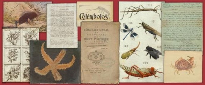 Museo de Ciencias Naturales pone a disposición del público 35.000 nuevas imágenes de su patrimonio cultural