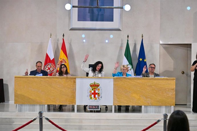 Votación durante el Pleno del Ayuntamiento de Almería.