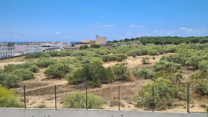 Parcela donde se desarrollará el residencial de El Jarillo de Barbate (Cádiz).