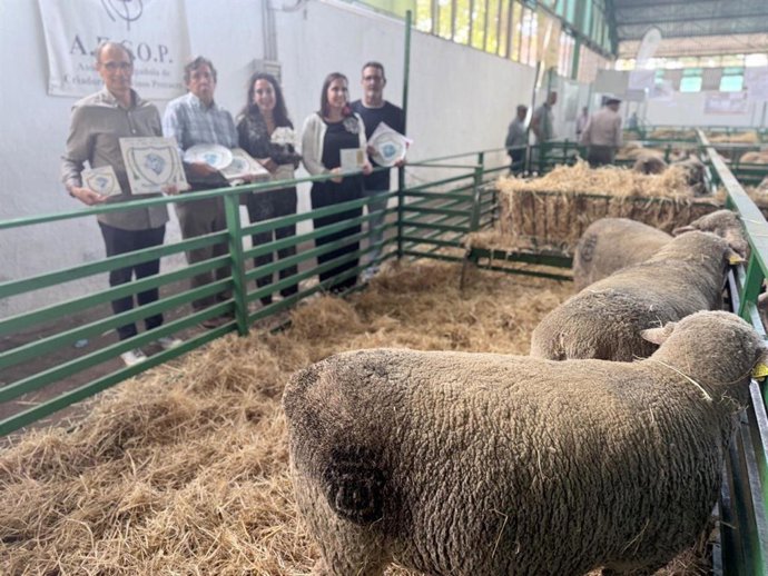 La Diputación de Cáceres vuelve a conquistar el premio a la Mejor Ganadería en la Feria Internacional Ganadera de Zafra