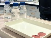 Foto: Salud Pública certifica que el 99% de las aguas de zonas de baño de Tenerife son aptas