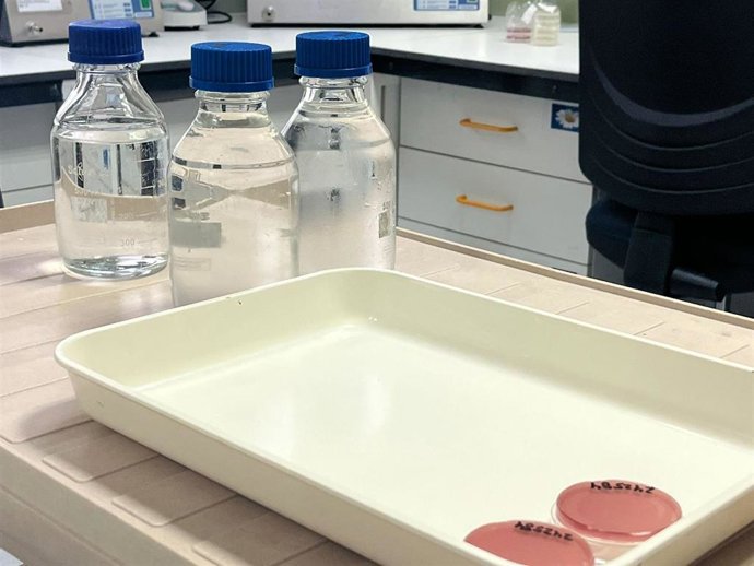 Laboratorio de Salud Pública