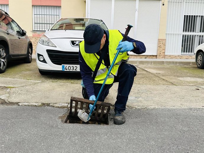 Un operario municipal desarrollando las actuaciones de prevención, supervisión y control del Virus del Nilo en El Purto de Santa María (Cádiz)