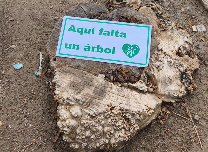 El Ecomapeo 'Aquí falta un árbol' registra en un fin de semana casi 400 alcorques deficientes en Haro