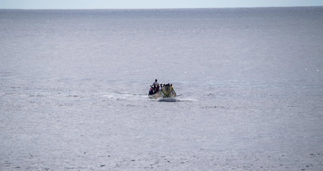 Migración