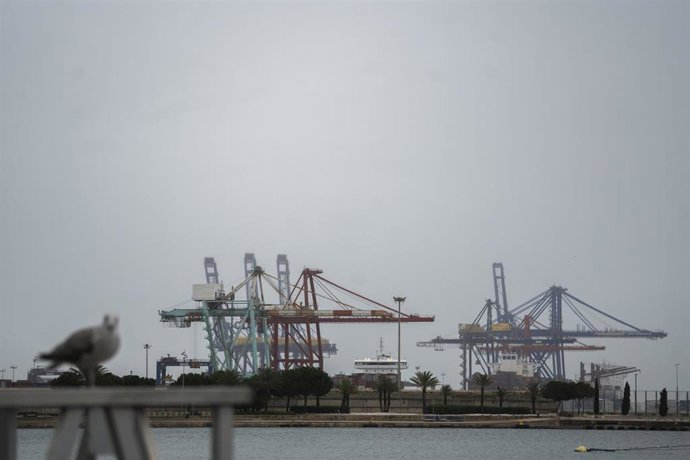 Archivo - Grúas en el Puerto de Valencia, a 13 de noviembre de 2024, en Valencia