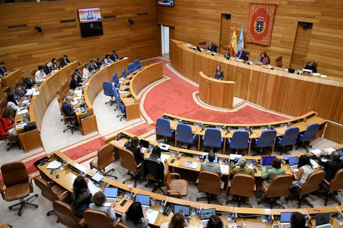 La conselleira de Política Social e Igualdade, Fabiola García, comparece en el Pleno del Parlamento.