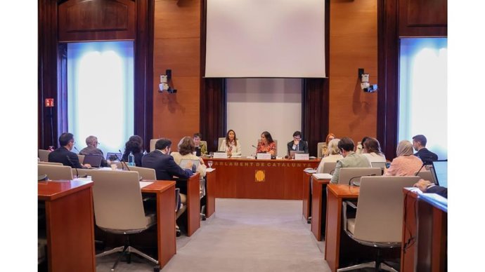 Niubó en la Comisión del Parlament de Educación