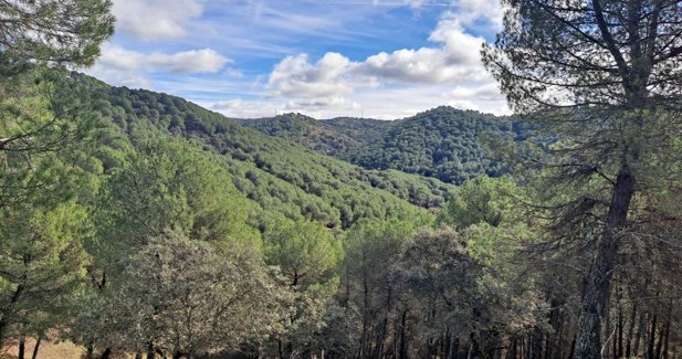Andalucía Verde