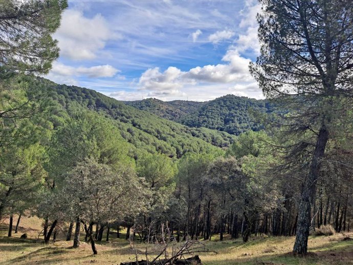 Parque Natural Sierra de Cardeña y Montoro