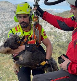 Rescate en helicóptero de un perro enriscado en una zona de difícil acceso en Lebeña
