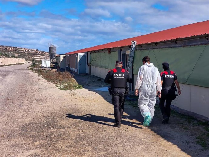 Operativo de la Policía Canaria en una finca de Tenerife utilizada como vertedero ilegal