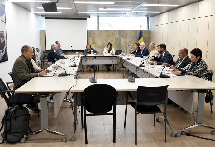 Un instante de la reunión del CES