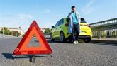Foto: COMUNICADO: Allianz Direct señala que septiembre y octubre suben el riesgo de accidente con fauna silvestre en carretera