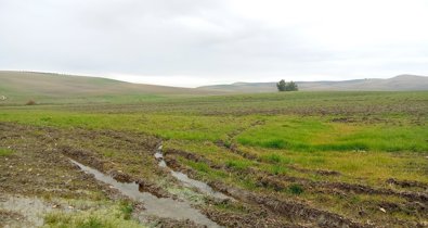 EpAgro - Agricultura